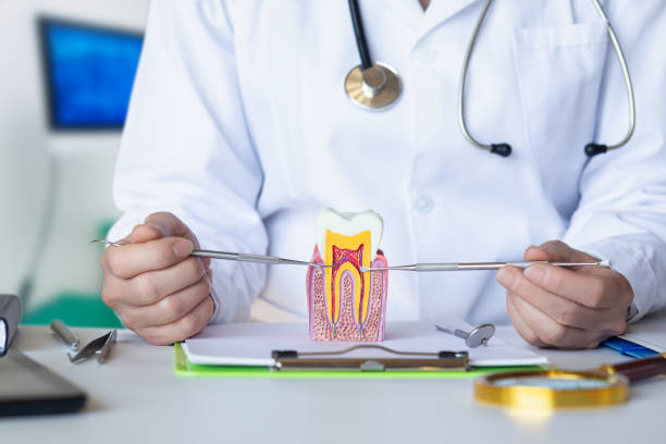 Best Emergency Treatment for Toothache in Snyder, TX
